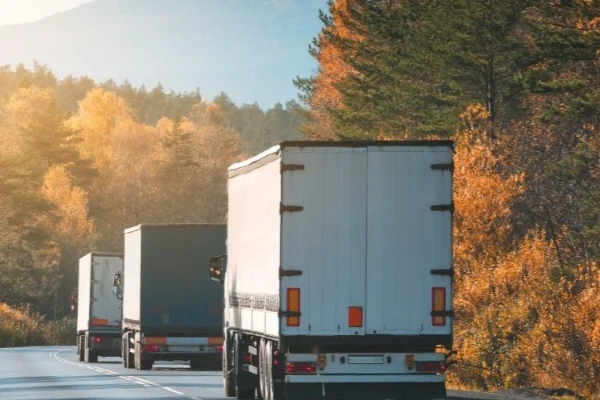 Mardin Bingöl Nakliyat